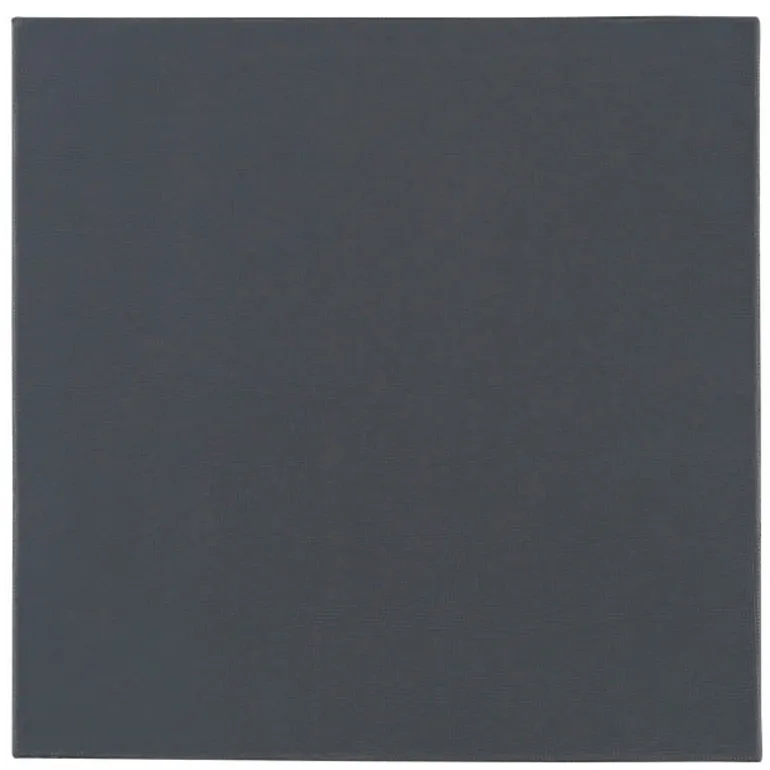 Almohadilla Térmica Thermal Grizzly Minus Pad Pro 100 x 100 x 1,5 mm