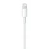 Apple Cable Lightning a USB 50cm - Cable USB