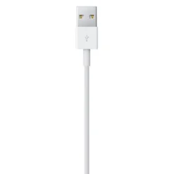 Apple Cable Lightning a USB 50cm - Cable USB