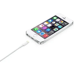 Apple Cable Lightning a USB 50cm - Cable USB