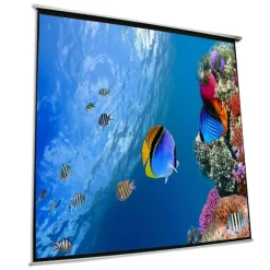 Approx Pantalla de Proyección Eléctrica 240x240 135