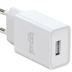 Cargador USB iggual De Pared 1xUSB 5V/2A 10W