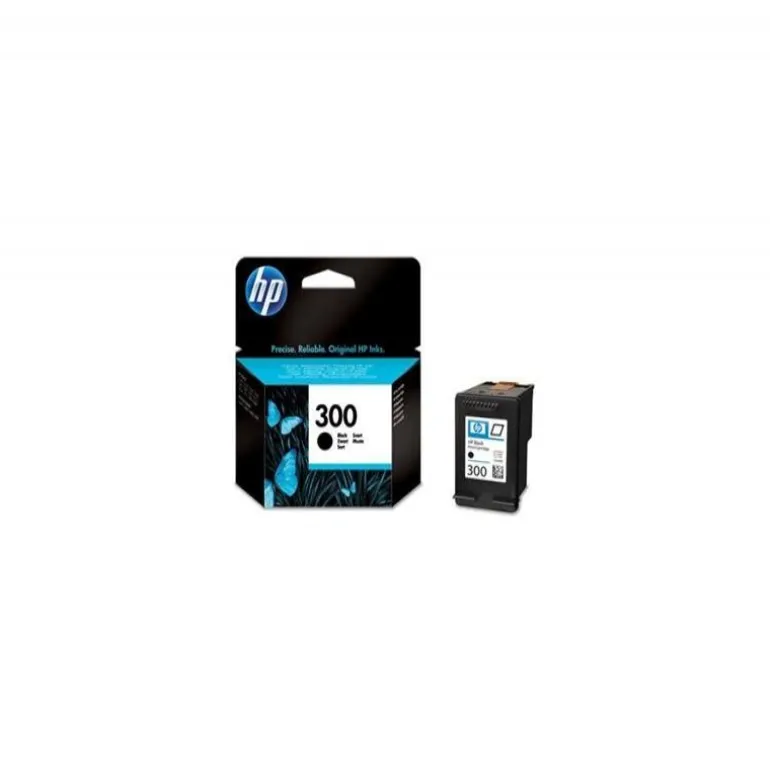 Cartucho HP CC640EE Nº 300 - Negro