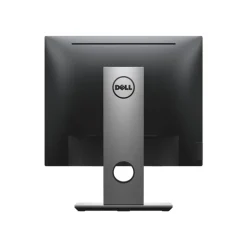 Dell P1917S 19