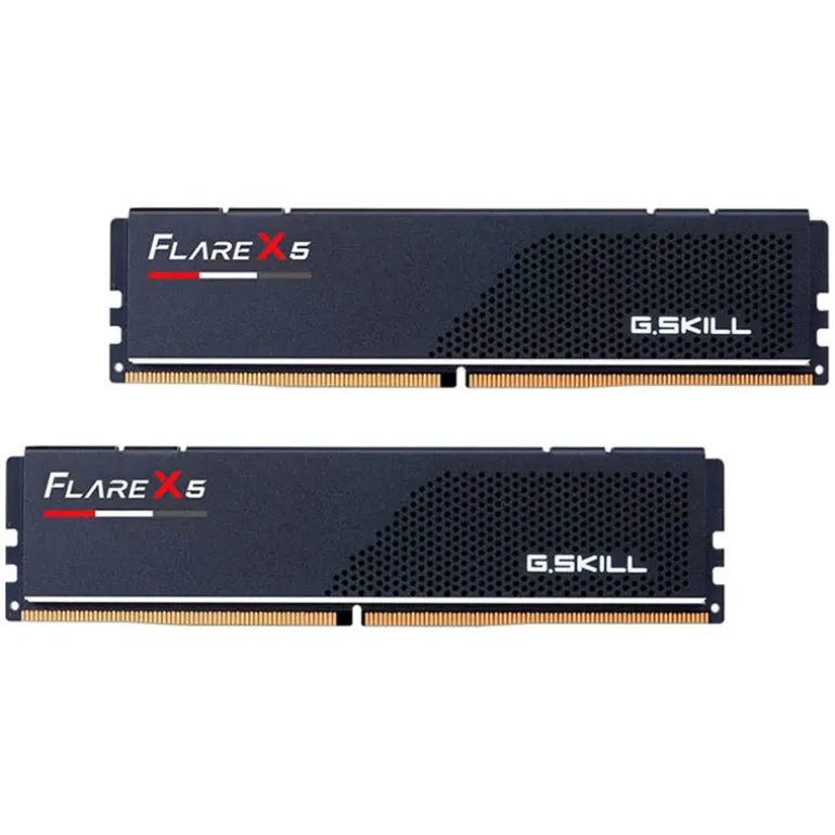 Memoria DDR5 G.Skill Flare X5 48GB 2x24GB 6000MHz CL40 Negro EXPO