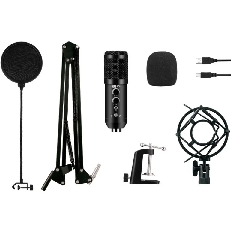 Micrófono iggual Pro Voice Con Brazo Ajustable USB