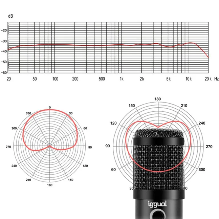 Micrófono iggual Pro Voice Con Brazo Ajustable USB