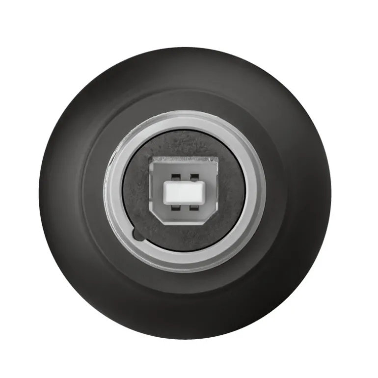 Micrófono Trust GXT 244 Buzz Con Soporte USB Negro