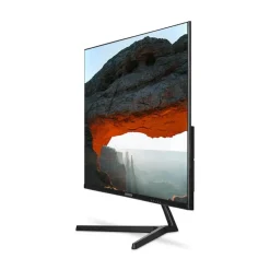 Monitor Medion Akoya P52424 24