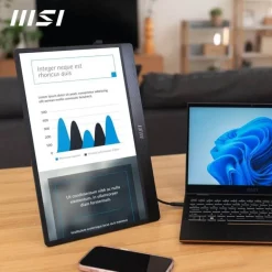 Monitor Portátil MSI MP161 E2 15.6