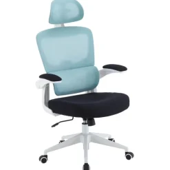 Silla Gaming Woxter Ergo Azul