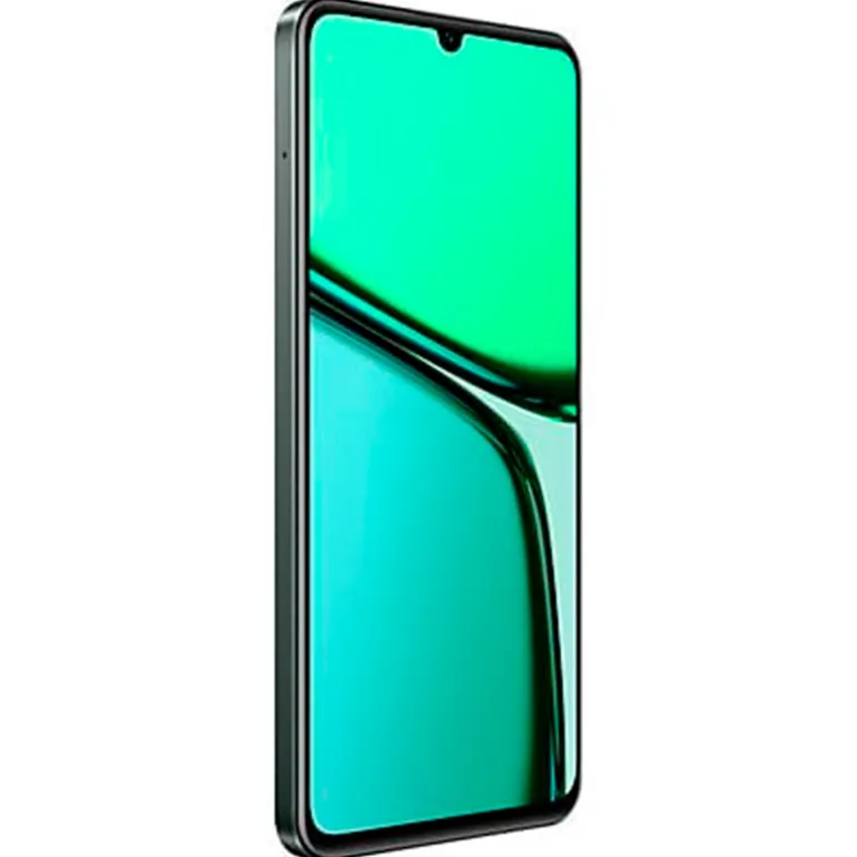 Smartphone/Móvil Realme C61 6.7" 6GB 256GB 4G Verde
