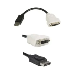 Startech Cable DisplayPort a DVI VIideo - Adaptador
