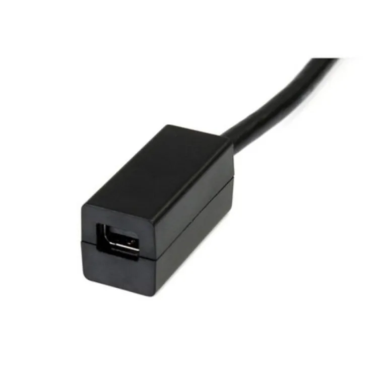 Startech DisplayPort Macho a Mini DisplayPort Hembra 15cm - Cable