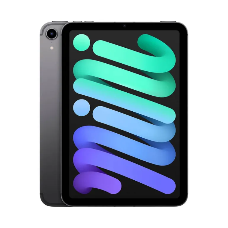 Tablet Apple iPad Mini Wi-Fi + Cellular 8.3" A15 4GB 64GB Gris Espacial iPadOS
